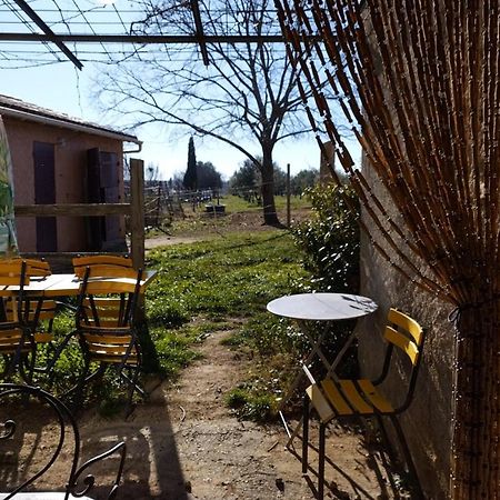 Studio Independant Dans Ferme Equestre オープス エクステリア 写真